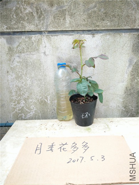 IMG20170503105935.jpg