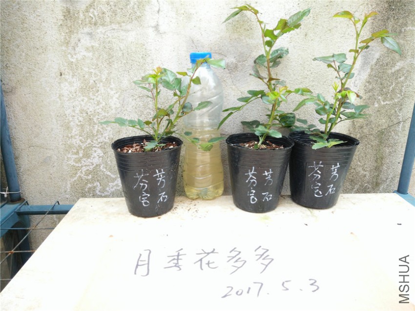 IMG20170503105900.jpg