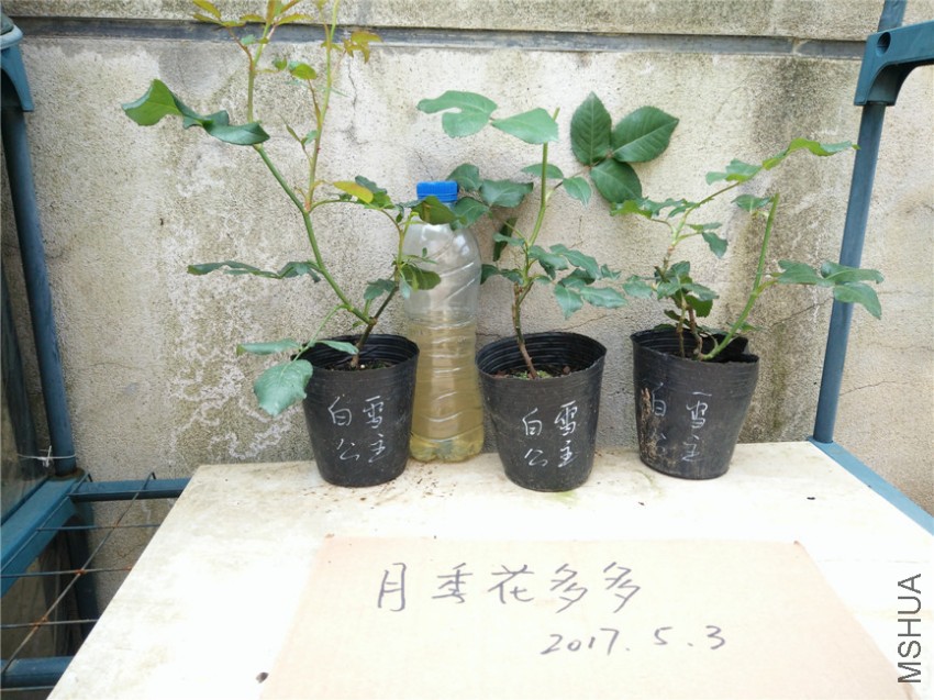 IMG20170503105740.jpg