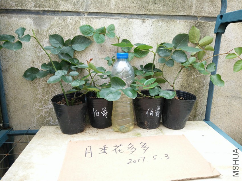 IMG20170503105540.jpg