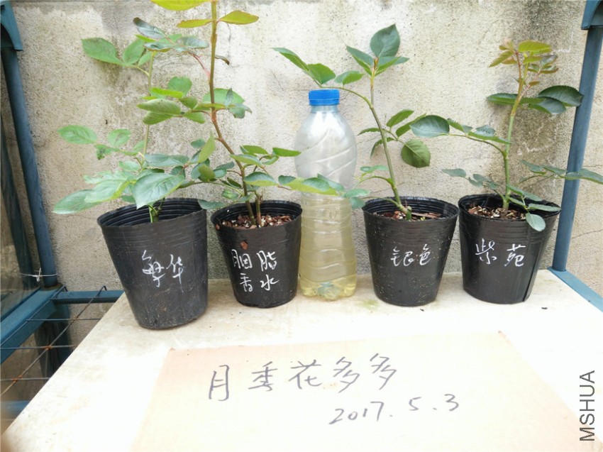 IMG20170503105157.jpg