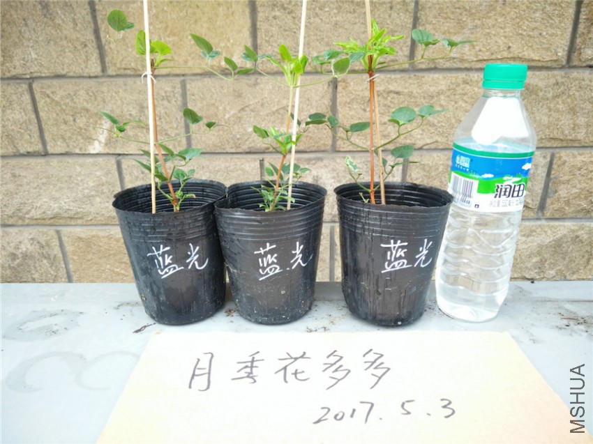 IMG20170503103445.jpg