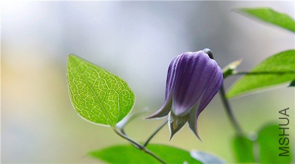 �½��ļ��� (3)IMG_0741(20170503-160121).jpg