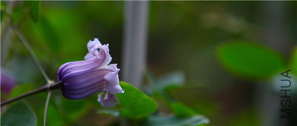 �½��ļ��� (3)IMG_0742(20170503-160034).jpg