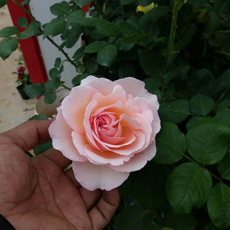 230706js4s9s8f59qskxoz.jpg