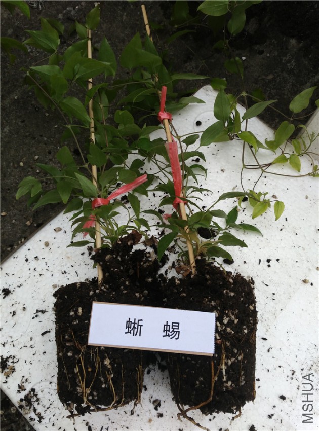 10�����ϵͼ.jpg