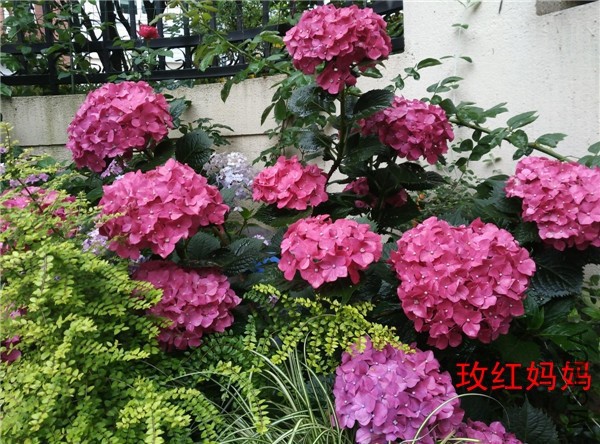 12õ�����迪��ͼ.jpg