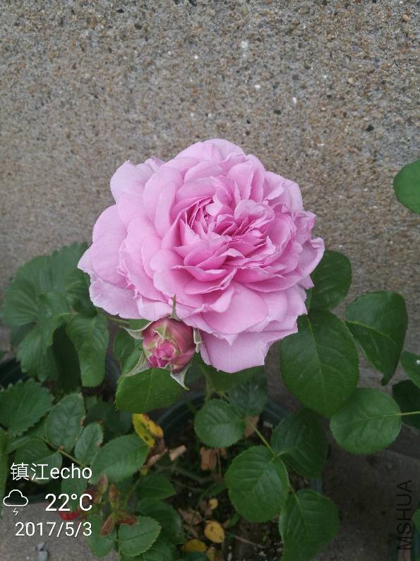 121652gfswkwy7fzwwvjsb.jpg