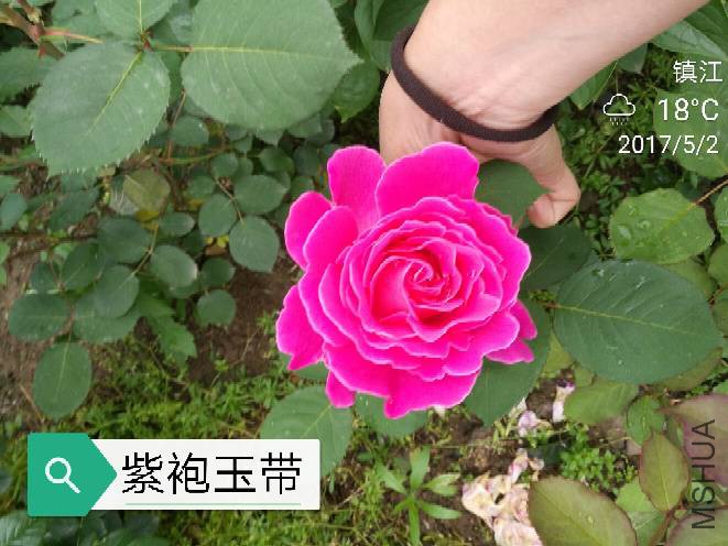 121657p474ajxssjax3faf.jpg