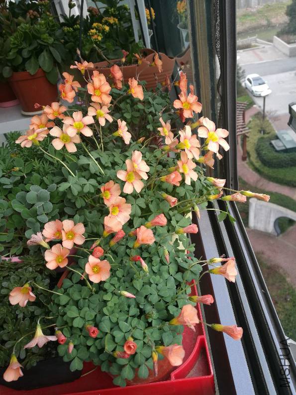 124354bky13l73g147kbpr.jpg