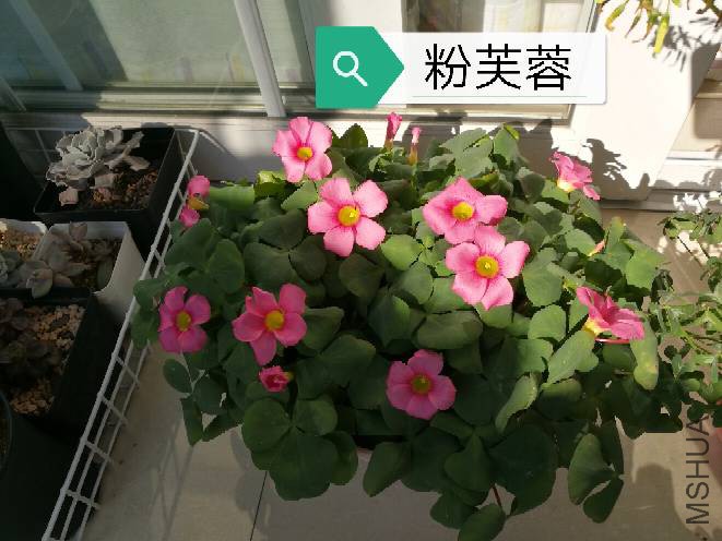 124357s8400dis07yugcvg.jpg