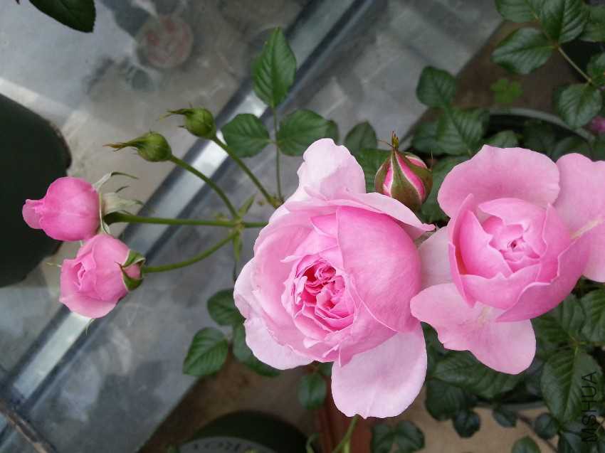 20170503_174551.jpg