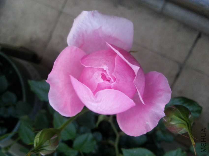 20170428_182359.jpg