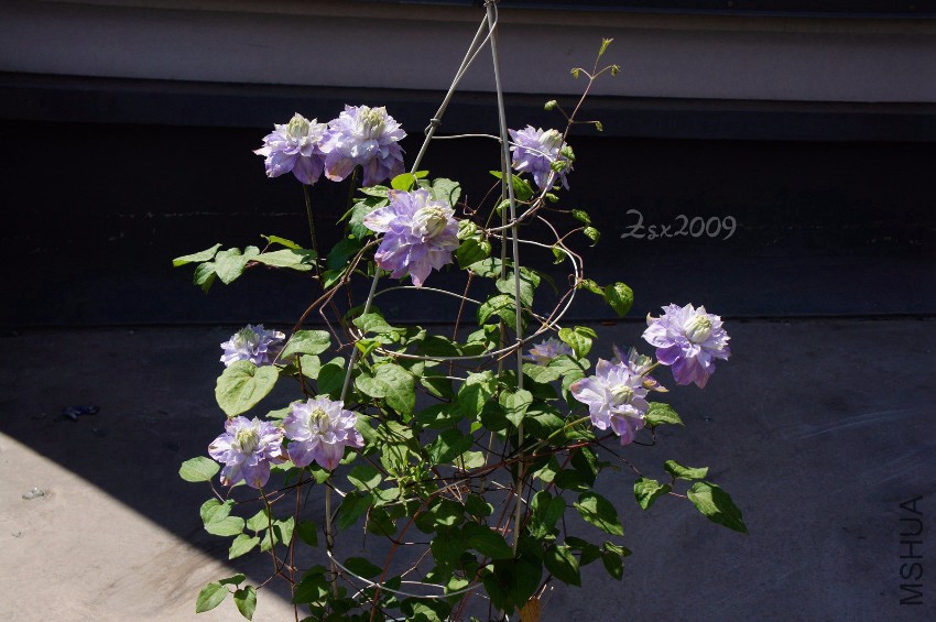 DSC00280.JPG