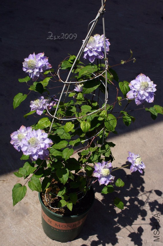 DSC00283.JPG