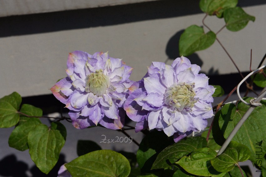 DSC00382.JPG