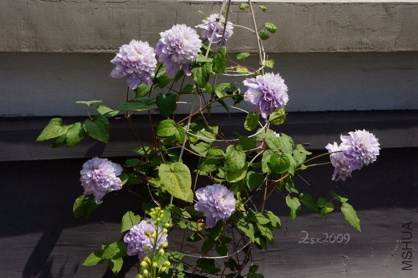 DSC00476.JPG
