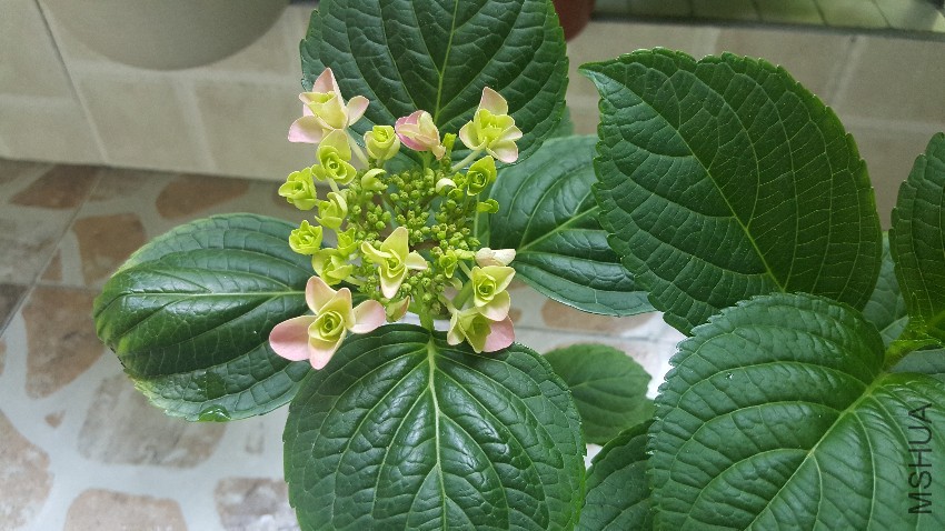 20170501_182839.jpg