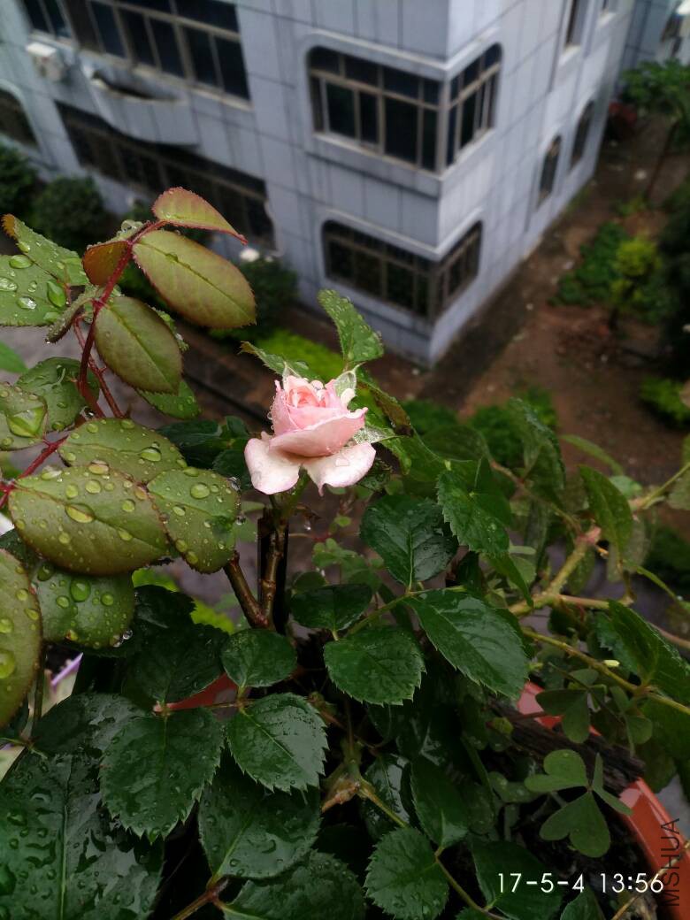 085922ttu2qt7mqx22hl9s.jpg