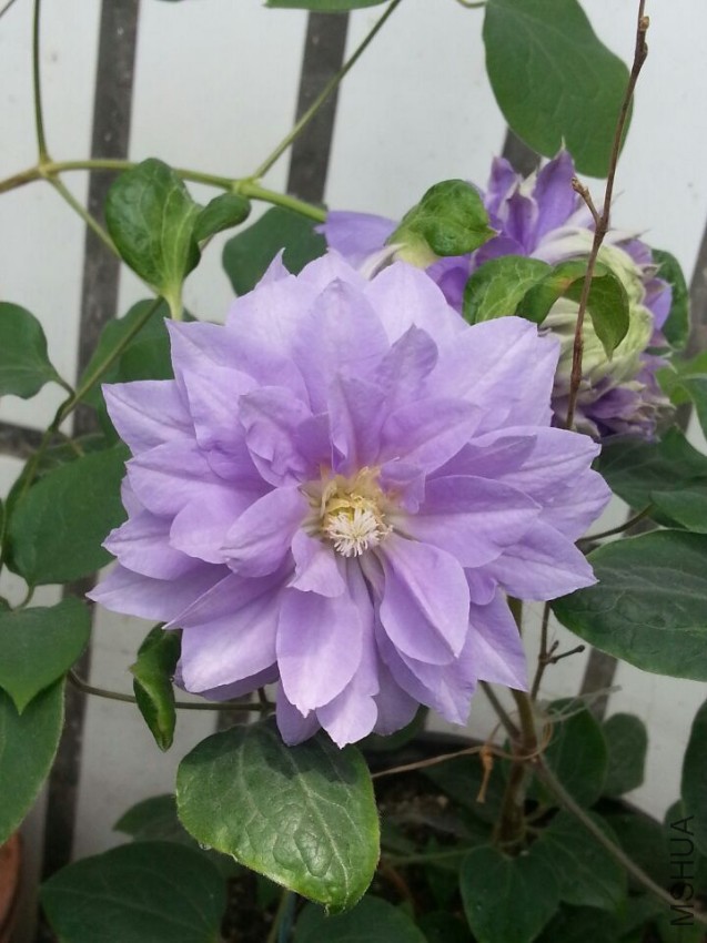 �ذ굤��..jpg