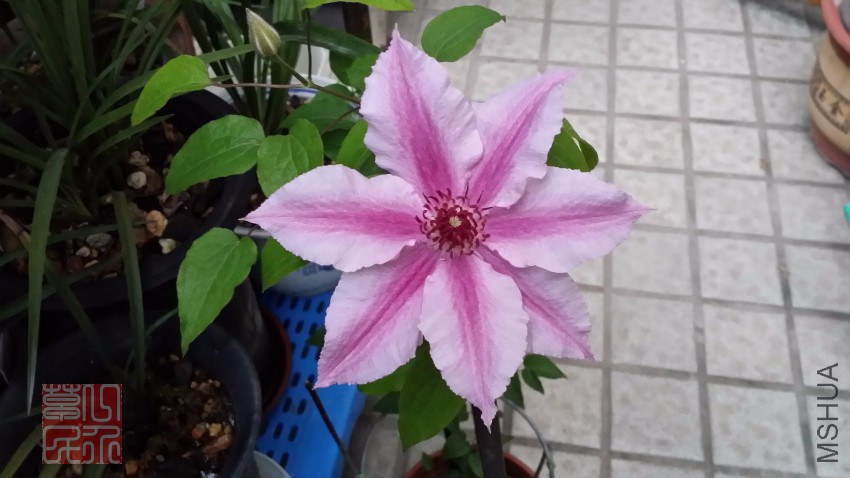 20160426_175207.jpg
