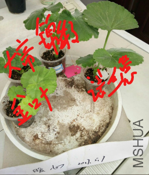 BV$4{BKF6XF`P`9FS~CQ6MU.png