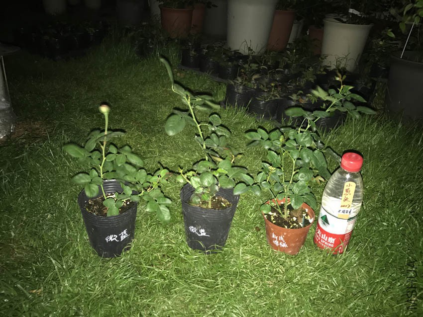 ΢�� 2��20Ԫ1����ǳӣ���ѳ�