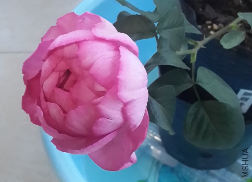 20170508_050922.jpg