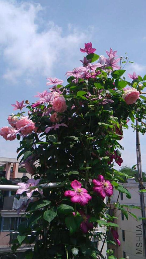 ����&����&�ﰺ