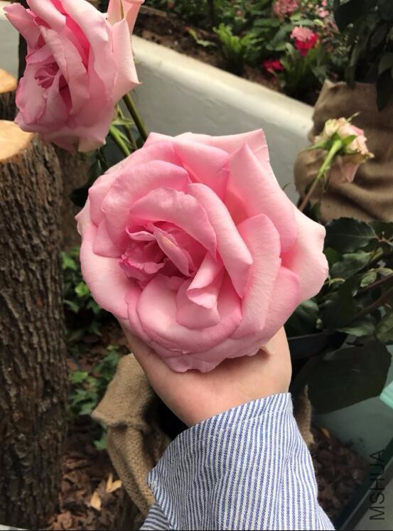 QQͼƬ20170508155014.jpg