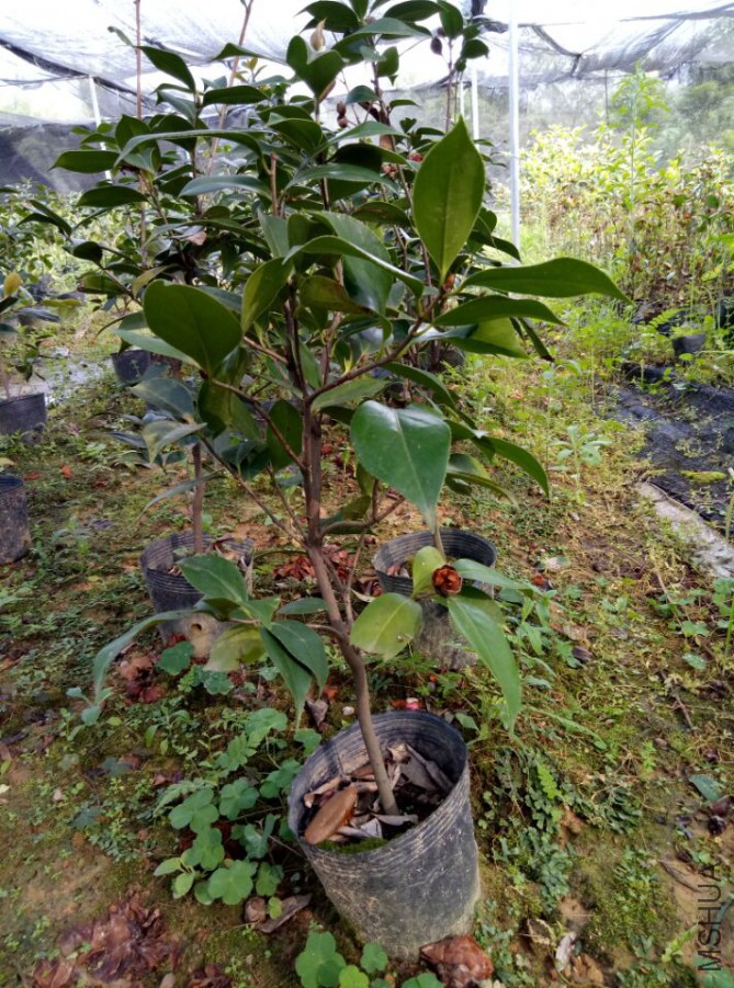 3d82930979675eec.jpg
