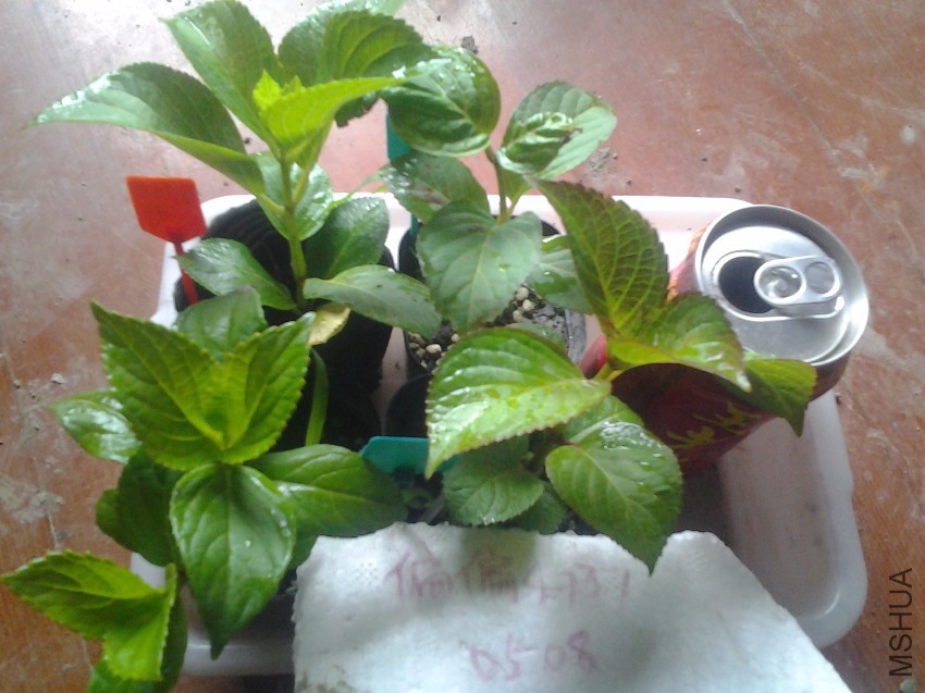 20170509_061246.jpg