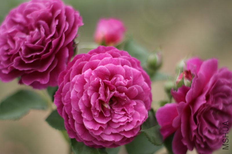 ����֮��