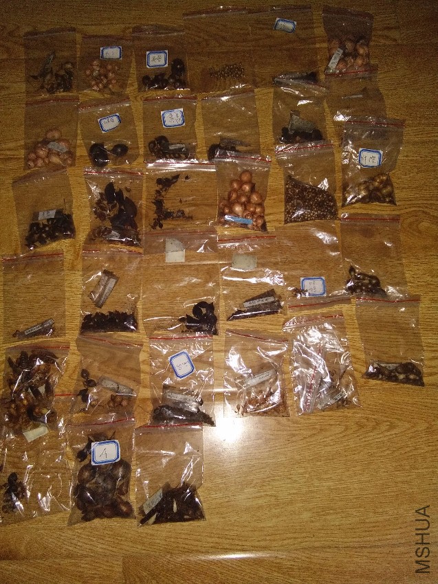 QQͼƬ20170510061337.jpg