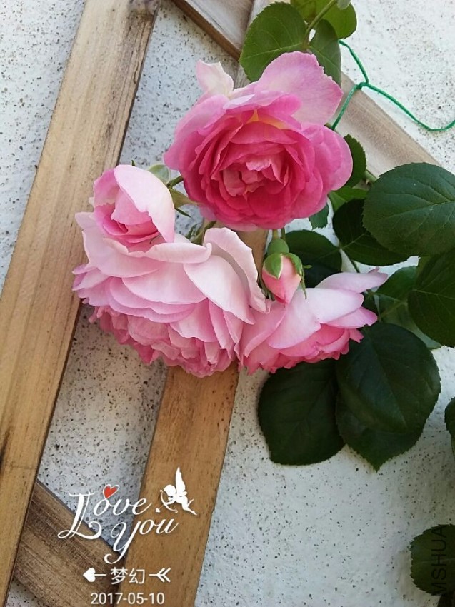 QQͼƬ20170510083540.jpg