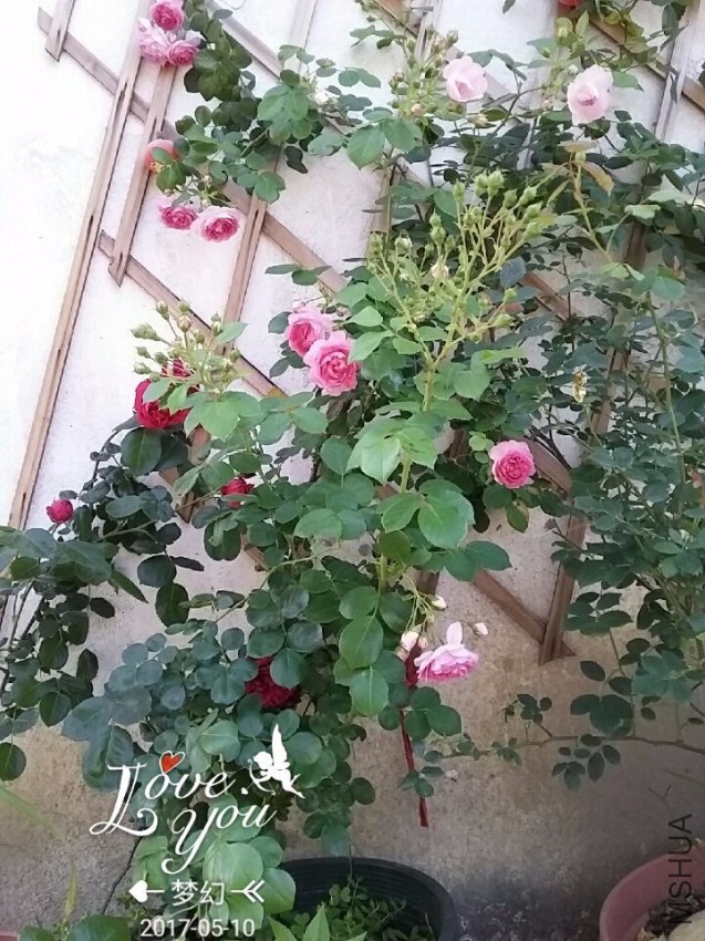 QQͼƬ20170510083548.jpg
