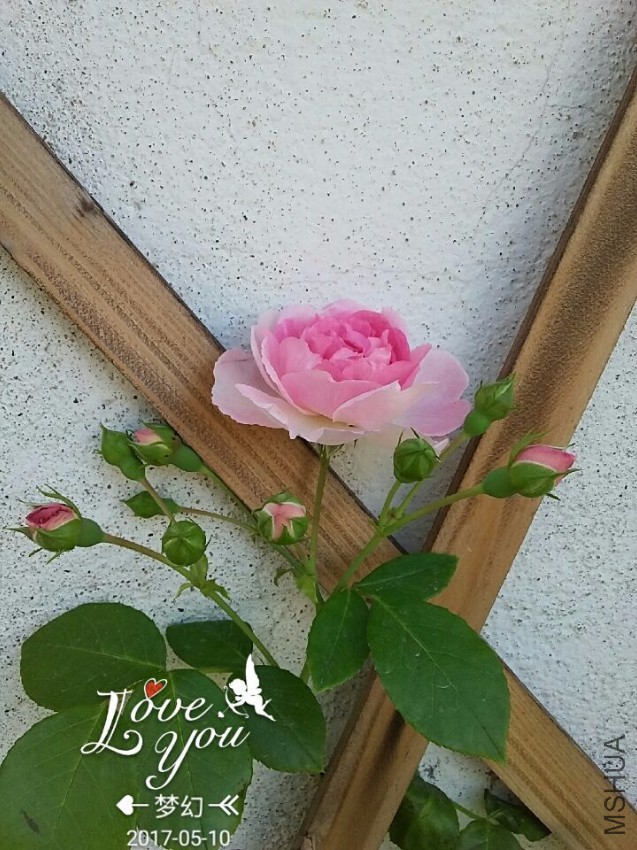 QQͼƬ20170510083551.jpg