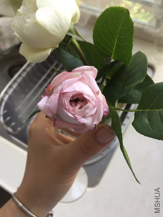 ΢��ͼƬ_20170510091443.jpg