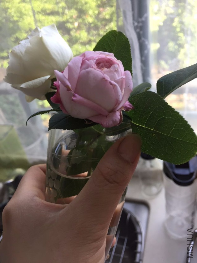 ΢��ͼƬ_20170510091447.jpg