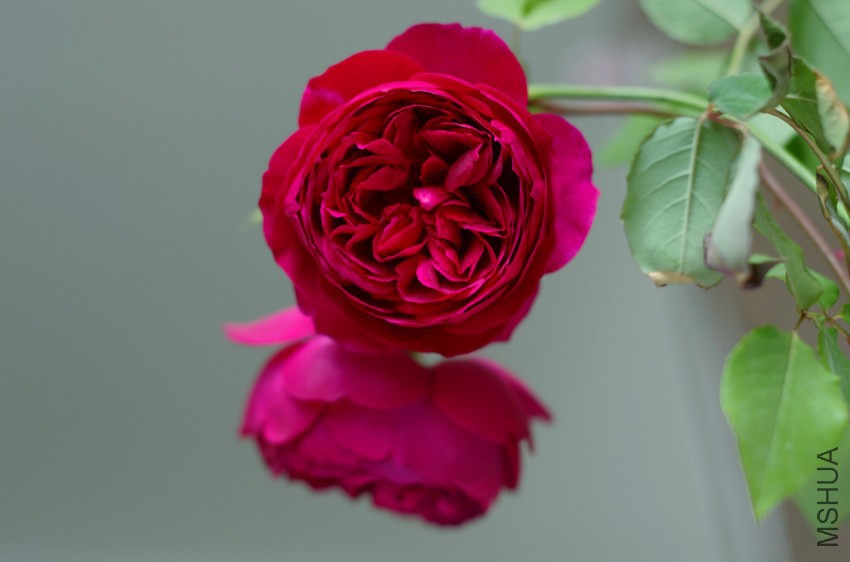 _IGP9235_����_����.jpg