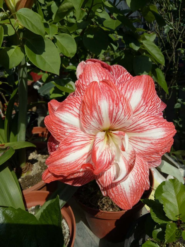 ΢��ͼƬ_20170510144901.jpg