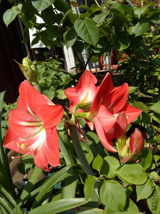 ΢��ͼƬ_20170510144907.jpg