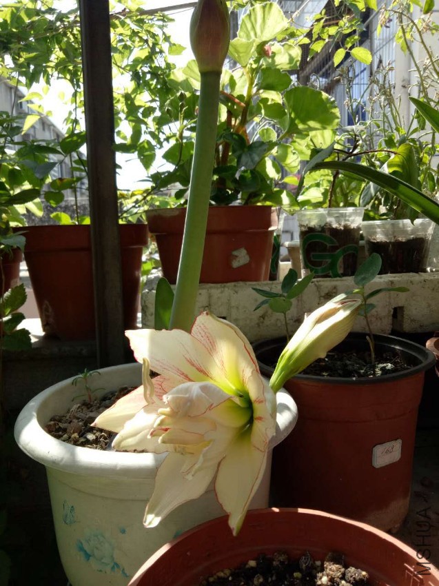 ΢��ͼƬ_20170510144921.jpg