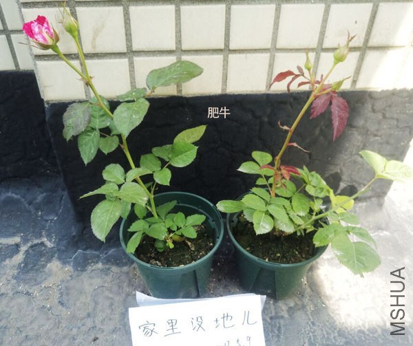 QQͼƬ20170510125431.jpg
