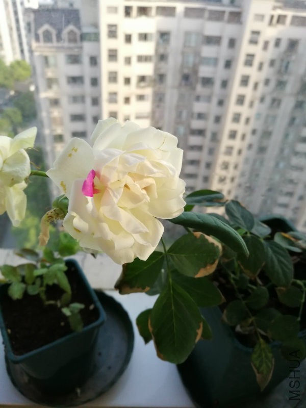 �?��图片_20170510201646.jpg