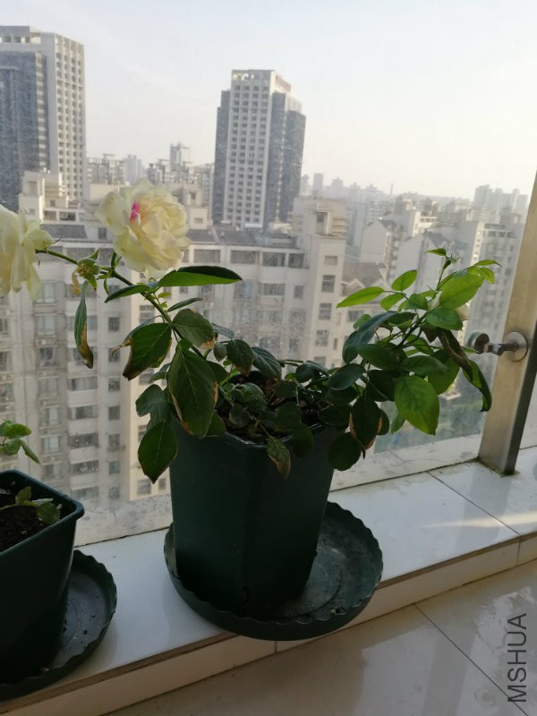 �?��图片_20170510201652.jpg