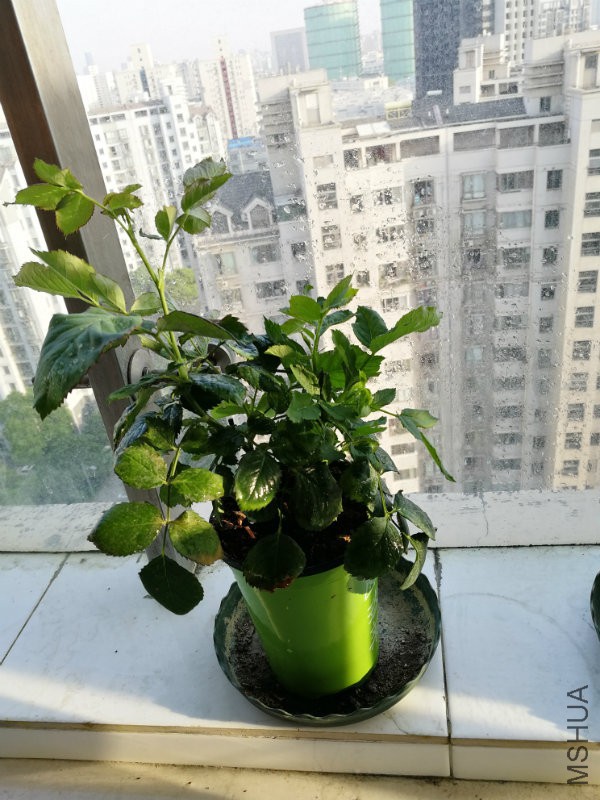 �?��图片_20170510201656.jpg