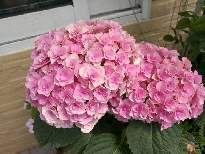 224428rz0d57clxxplp7dv.jpg
