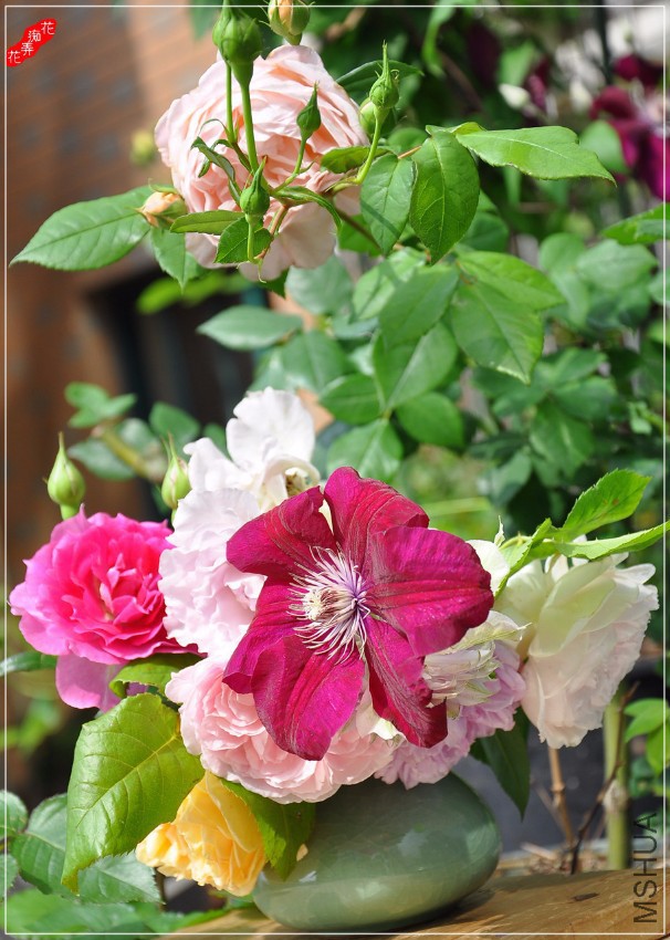 DSC_7171.jpg