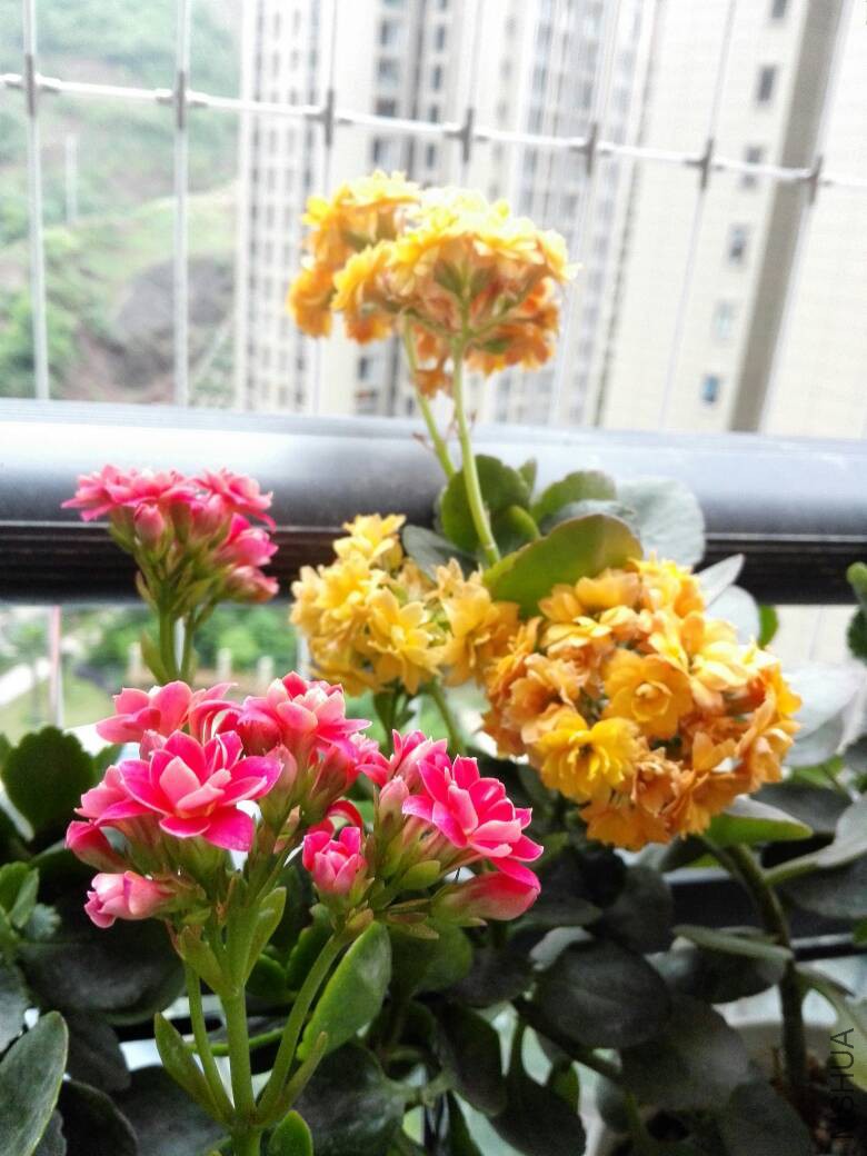 190421qtycdfqebybcttyf.jpg